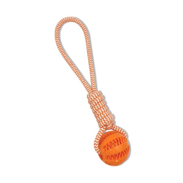 Juguete para Perro Pelota Tenis y Cuerda