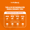Alimento para Perros Adultos Pequeños, sabor carne y cereales 3 kg - Imagen 4