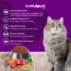 Alimento para Gatos Adultos, sabor carne 3 kg - Imagen 3