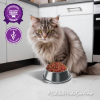Alimento para Gatos Adultos, sabor carne 3 kg - Imagen 5