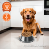 Alimento para Perros Adultos Medianos y Grandes, sabor carne y cereales 15 kg - Imagen 5