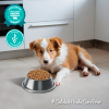 Alimento para Perros Cachorros Pequeños, Medianos y Grandes, sabor carne y leche 3 kg - Imagen 5