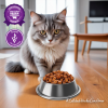 Trocitos en Salsa Gatos Adultos Sabor Carne 85g - Imagen 6