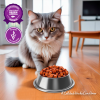 Trocitos en Salsa Gatos Adultos Sabor Salmón 85g - Imagen 6